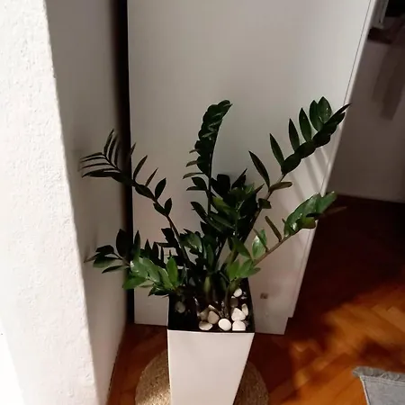 Apartment Old Town Trebinje