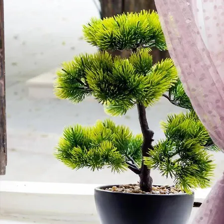 Apartment Old Town Trebinje